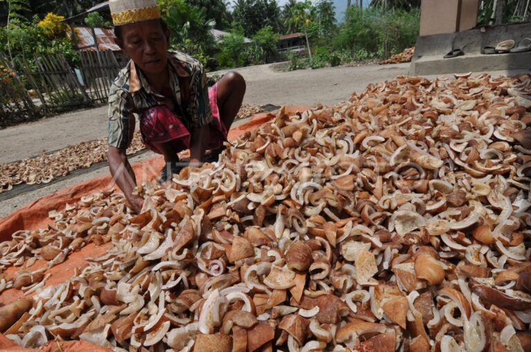 Perdagangan dan Pengolahan Hasil Kebun